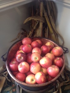 Harvest apples