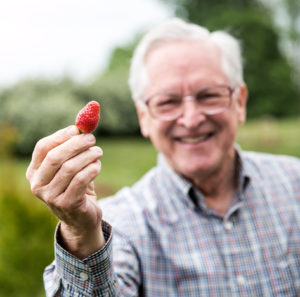 Ted Burrowes holding strawberry he grew in his cottage garden