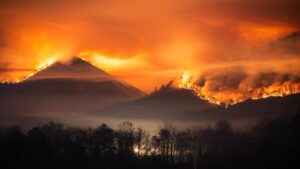 Image depicts a forest fire on the mountains.
